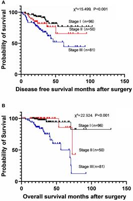 Adjuvant EGFR-TKI therapy in resected EGFR-mutation positive non-small cell lung cancer: A real-world study